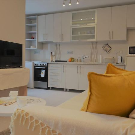 Spacious 2-Bedroom Apartment With Luxury Feel Újvidék Kültér fotó