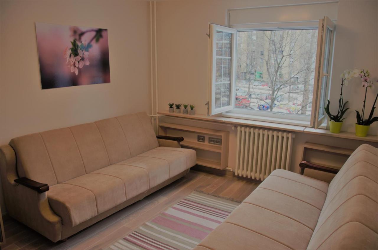 Spacious 2-Bedroom Apartment With Luxury Feel Újvidék Kültér fotó